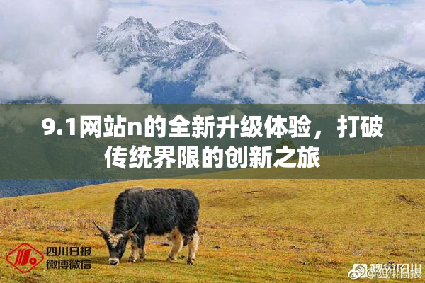 9.1网站n的全新升级体验，打破传统界限的创新之旅