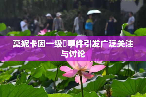 莫妮卡因一级婬事件引发广泛关注与讨论