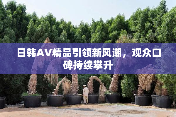 日韩AV精品引领新风潮，观众口碑持续攀升