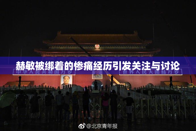 赫敏被绑着的惨痛经历引发关注与讨论