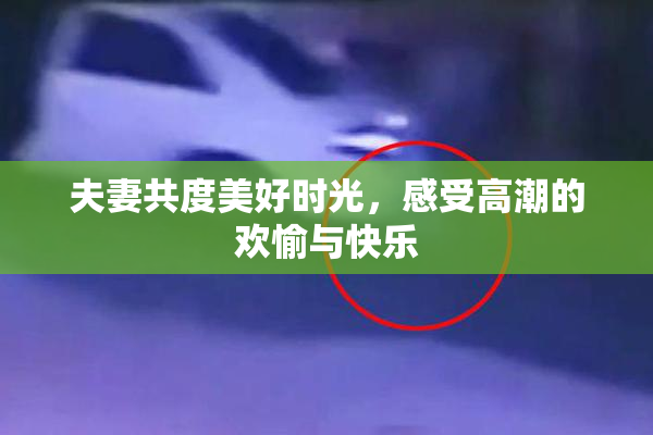 夫妻共度美好时光，感受高潮的欢愉与快乐