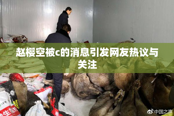 赵樱空被c的消息引发网友热议与关注