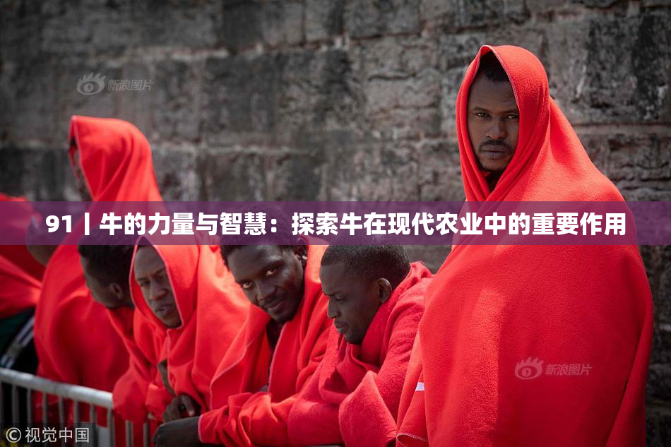 91丨牛的力量与智慧：探索牛在现代农业中的重要作用