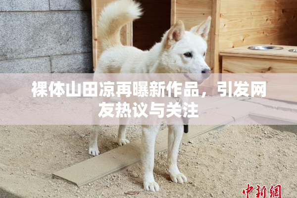 裸体山田凉再曝新作品，引发网友热议与关注