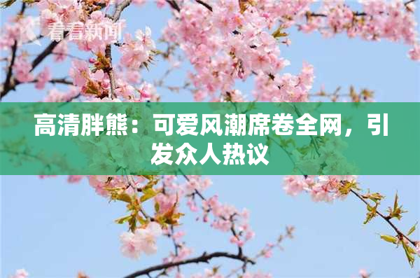 高清胖熊：可爱风潮席卷全网，引发众人热议