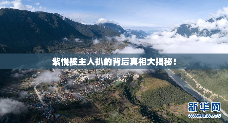 紫悦被主人扒的背后真相大揭秘！