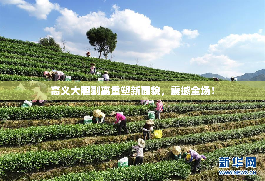 高义大胆剥离重塑新面貌，震撼全场！