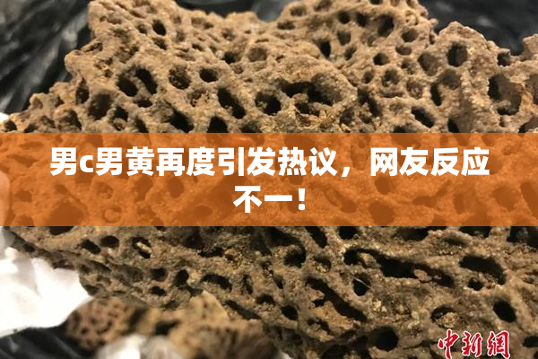 男c男黄再度引发热议，网友反应不一！