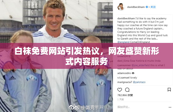 白袜免费网站引发热议，网友盛赞新形式内容服务