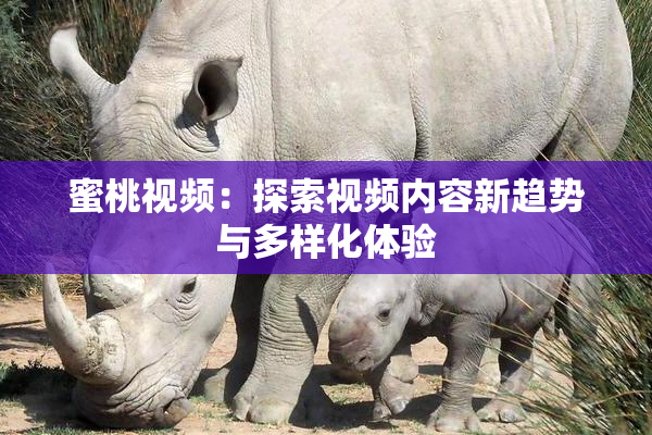 蜜桃视频：探索视频内容新趋势与多样化体验