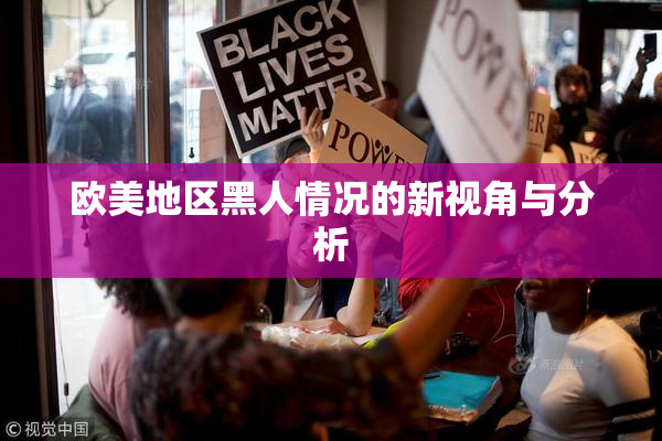 欧美地区黑人情况的新视角与分析