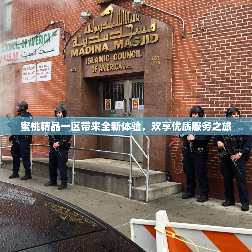 蜜桃精品一区带来全新体验，欢享优质服务之旅