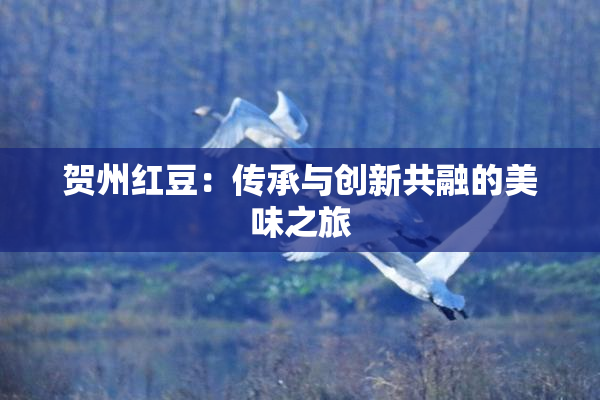 贺州红豆：传承与创新共融的美味之旅