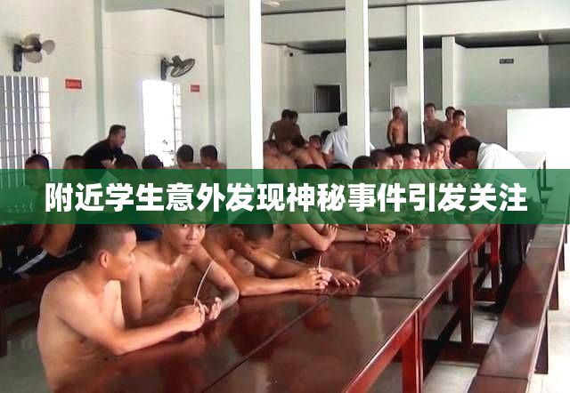 附近学生意外发现神秘事件引发关注