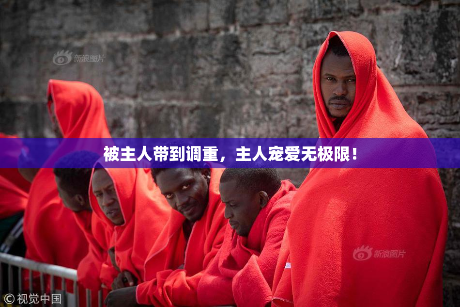 被主人带到调重，主人宠爱无极限！