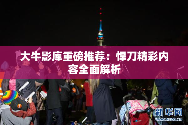 大牛影库重磅推荐：悍刀精彩内容全面解析