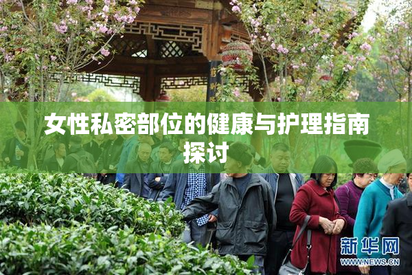 女性私密部位的健康与护理指南探讨