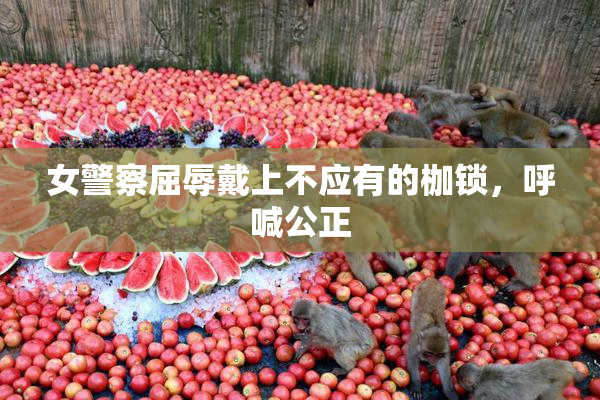 女警察屈辱戴上不应有的枷锁，呼喊公正
