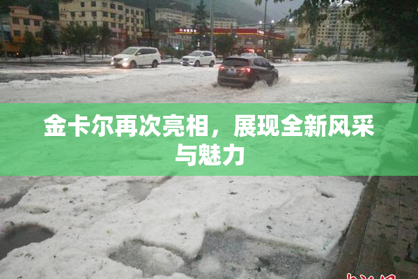 金卡尔再次亮相，展现全新风采与魅力