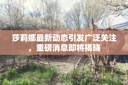 莎莉娜最新动态引发广泛关注，重磅消息即将揭晓