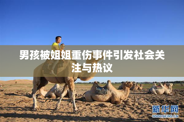 男孩被姐姐重伤事件引发社会关注与热议