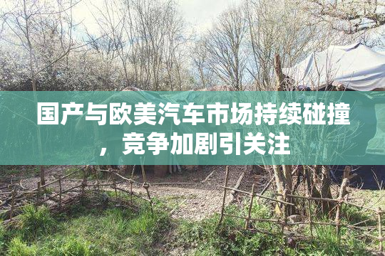 国产与欧美汽车市场持续碰撞，竞争加剧引关注