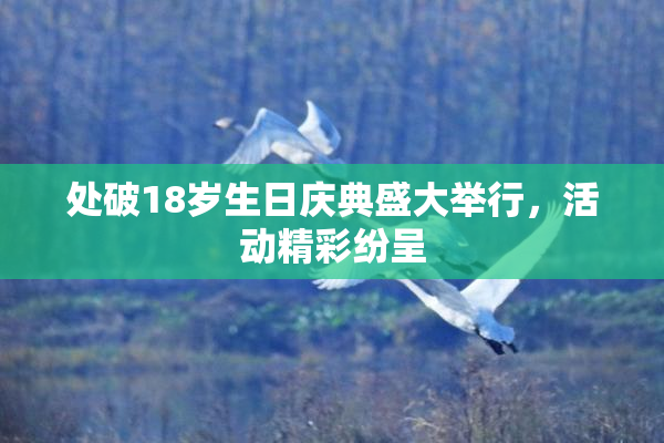处破18岁生日庆典盛大举行，活动精彩纷呈