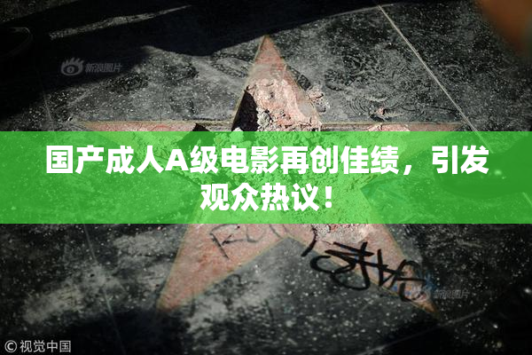 国产成人A级电影再创佳绩，引发观众热议！
