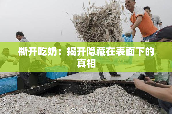 撕开吃奶：揭开隐藏在表面下的真相