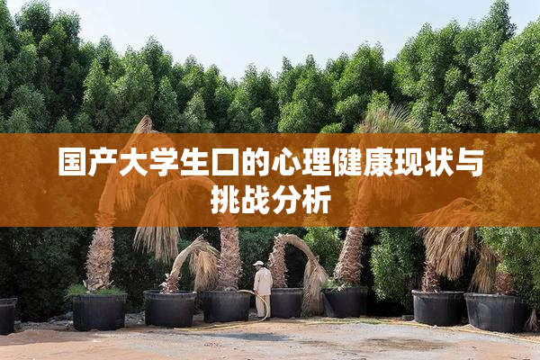 国产大学生囗的心理健康现状与挑战分析