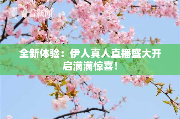 全新体验：伊人真人直播盛大开启满满惊喜！
