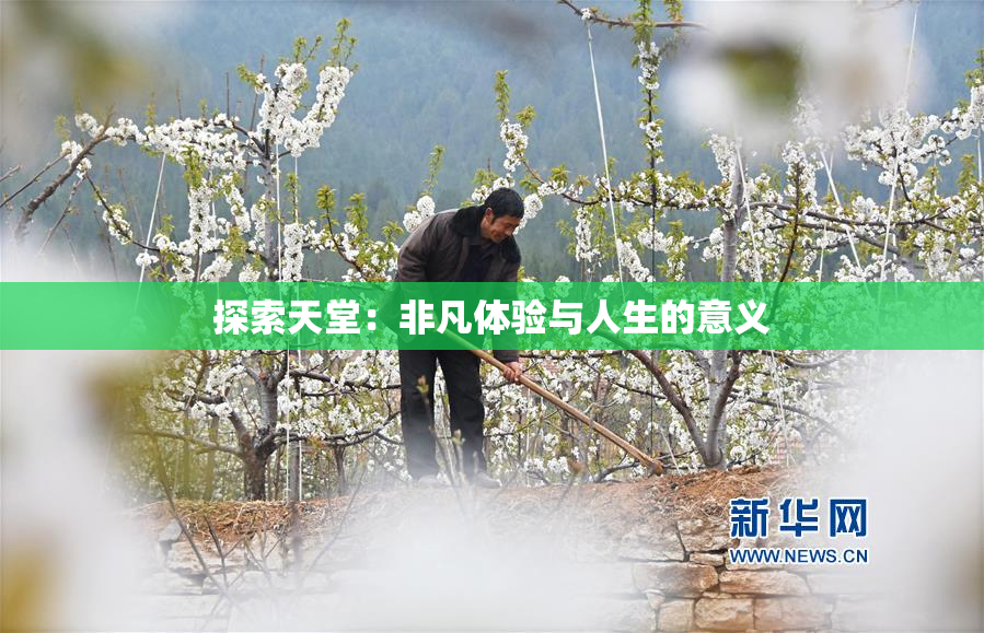 探索天堂：非凡体验与人生的意义