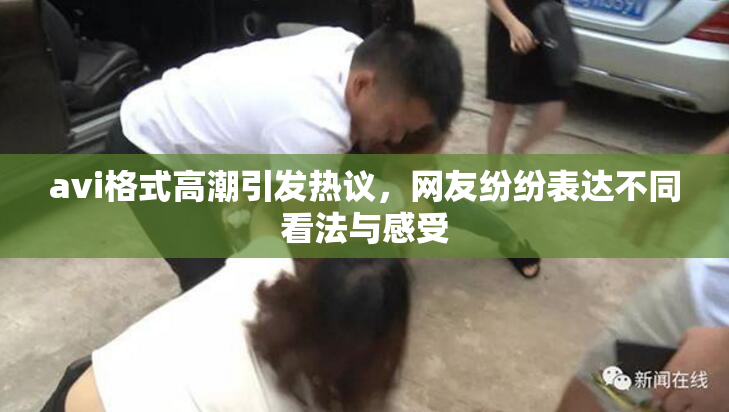 avi格式高潮引发热议，网友纷纷表达不同看法与感受