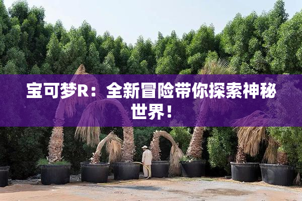 宝可梦R：全新冒险带你探索神秘世界！