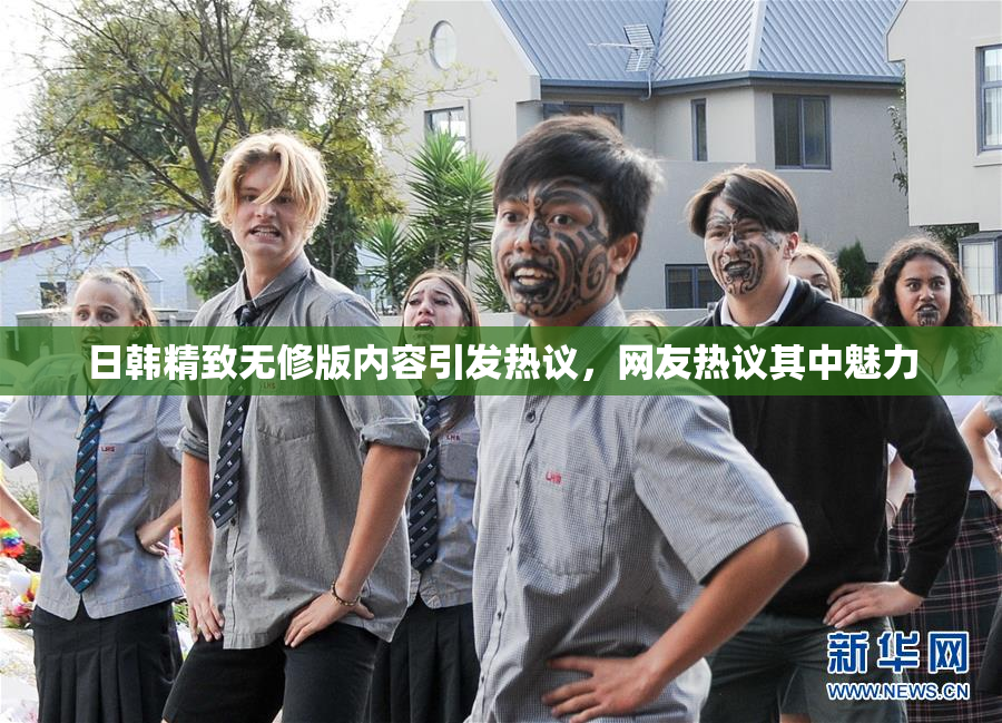 日韩精致无修版内容引发热议，网友热议其中魅力