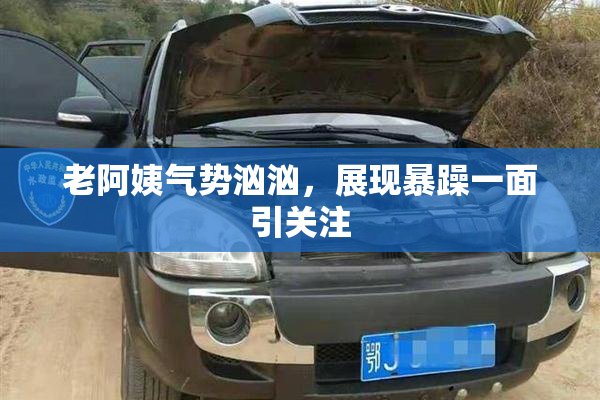 老阿姨气势汹汹，展现暴躁一面引关注