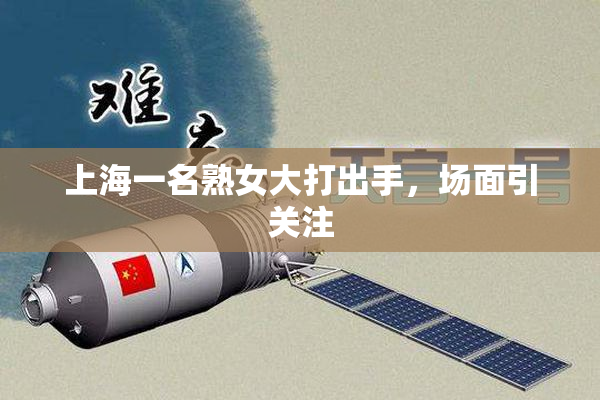 上海一名熟女大打出手，场面引关注