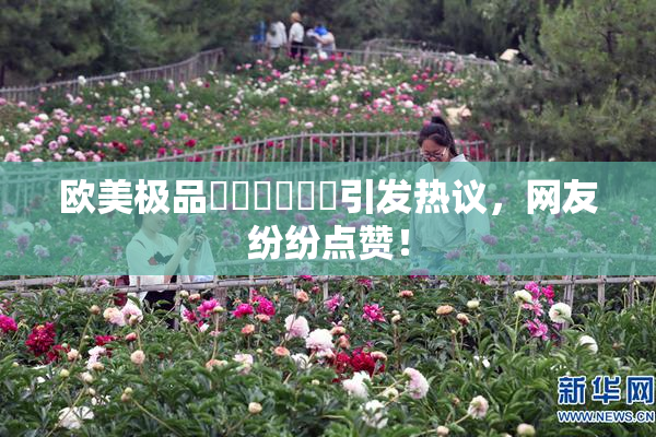 欧美极品❌‌❌‌❌‌引发热议，网友纷纷点赞！