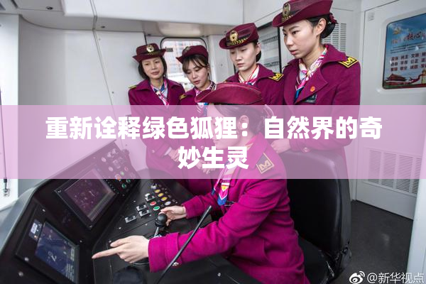 重新诠释绿色狐狸：自然界的奇妙生灵