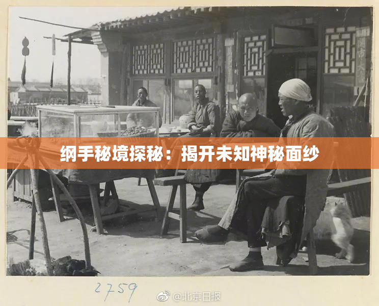 纲手秘境探秘：揭开未知神秘面纱