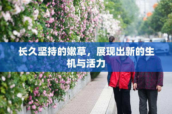 长久坚持的嫩草，展现出新的生机与活力
