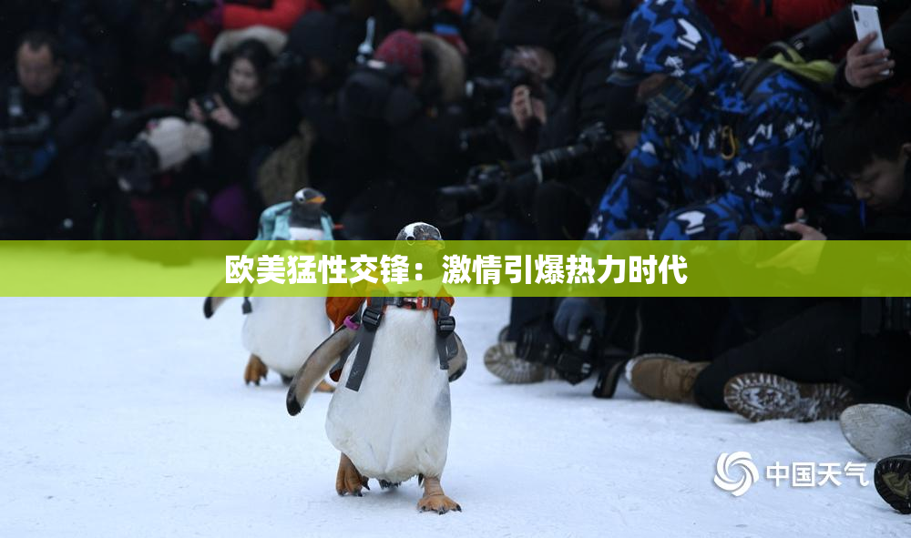 欧美猛性交锋：激情引爆热力时代