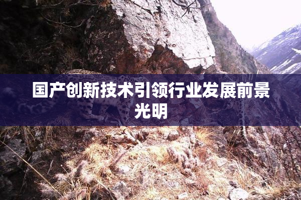 国产创新技术引领行业发展前景光明