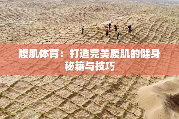 腹肌体育：打造完美腹肌的健身秘籍与技巧