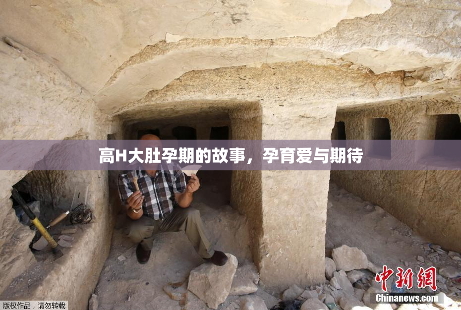 高H大肚孕期的故事，孕育爱与期待