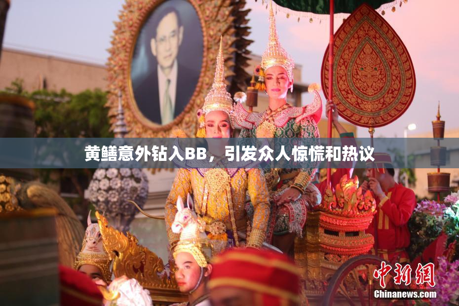 黄鳝意外钻入BB，引发众人惊慌和热议
