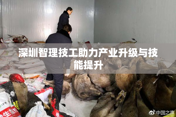 深圳智理技工助力产业升级与技能提升