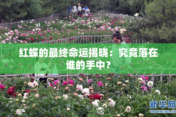 红蝶的最终命运揭晓：究竟落在谁的手中？