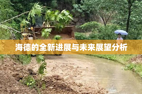 海德的全新进展与未来展望分析