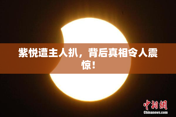 紫悦遭主人扒，背后真相令人震惊！